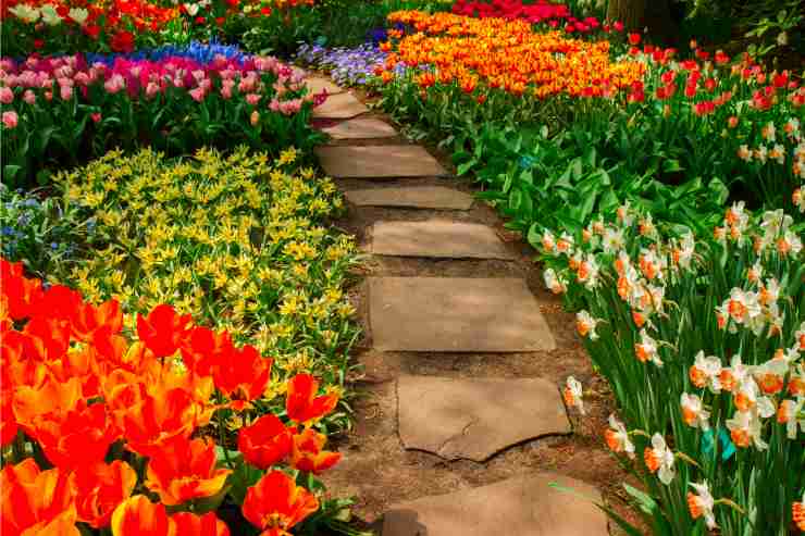 Abbellire il vialetto di casa con fiori e pietre che tracciano un sentiero