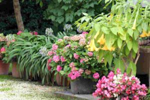 Giardino stile rustico con tanti fiori, un angolo di paradiso