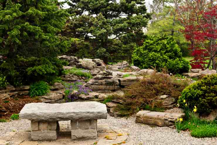Piante per il giardino zen con panchina in pietra