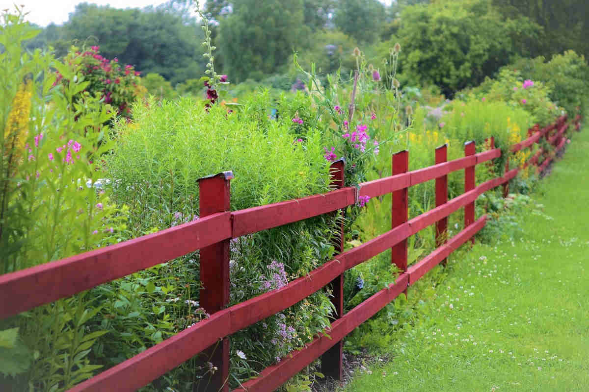 Staccionate - recinzioni - Staccionate per il giardino