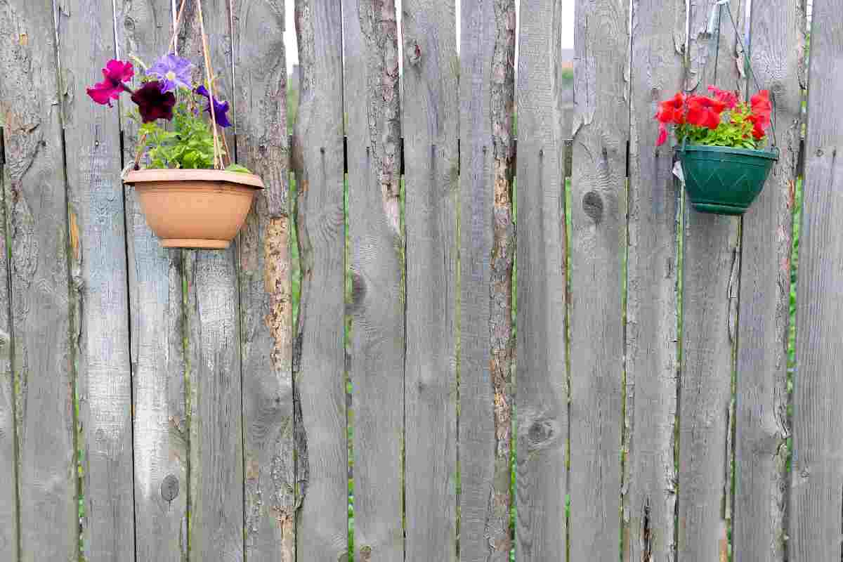 Decorazioni di piante fiorite per recinzione in legno 