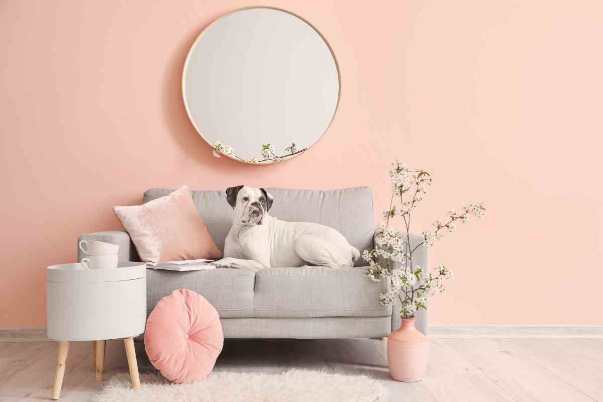 colore pareti rosa chiaro e mobili legno chiaro