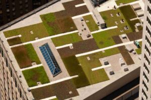 Piante su un green roof visto dal drone