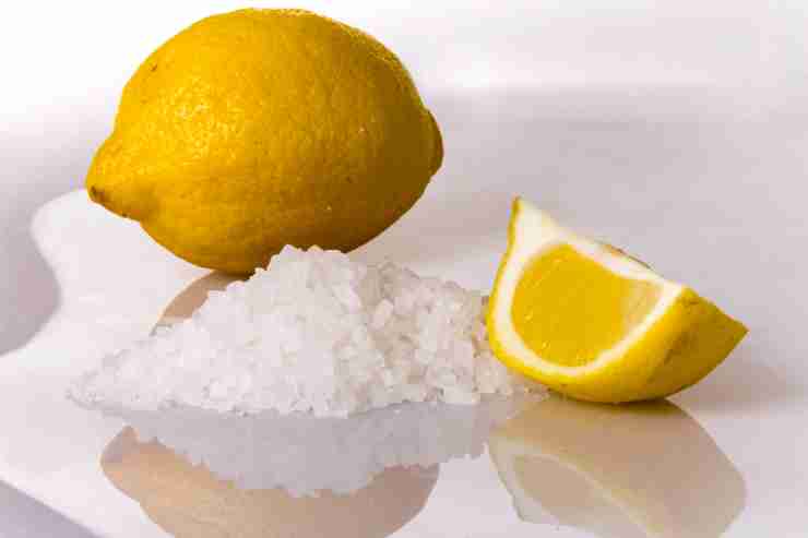 limone e sale grosso