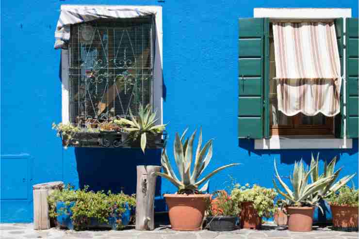 casa di campagna con mura azzurro e piante