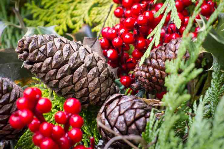 Decorazioni natalizie con le pigne e bacche rosse