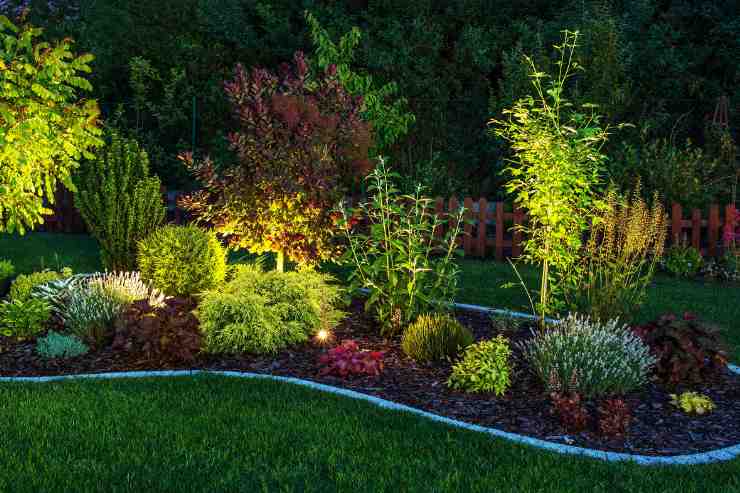Come illuminare il giardino, idea suggestiva per esaltare le piante
