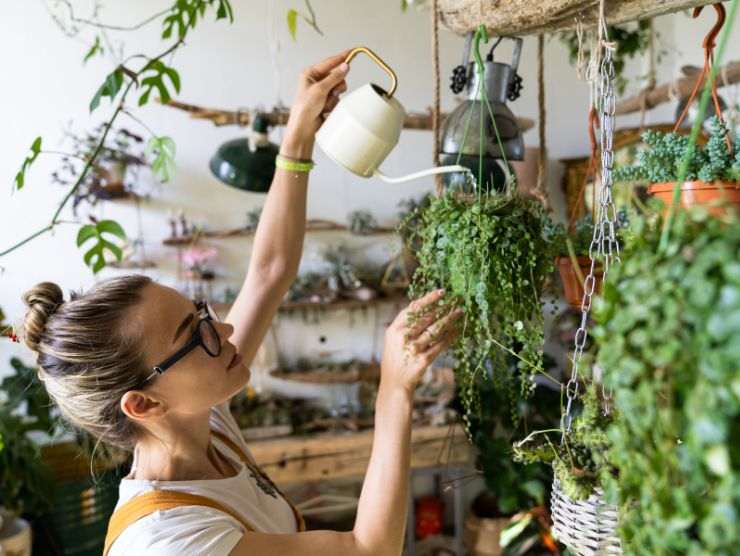 trucchetti innaffiare piante vacanza