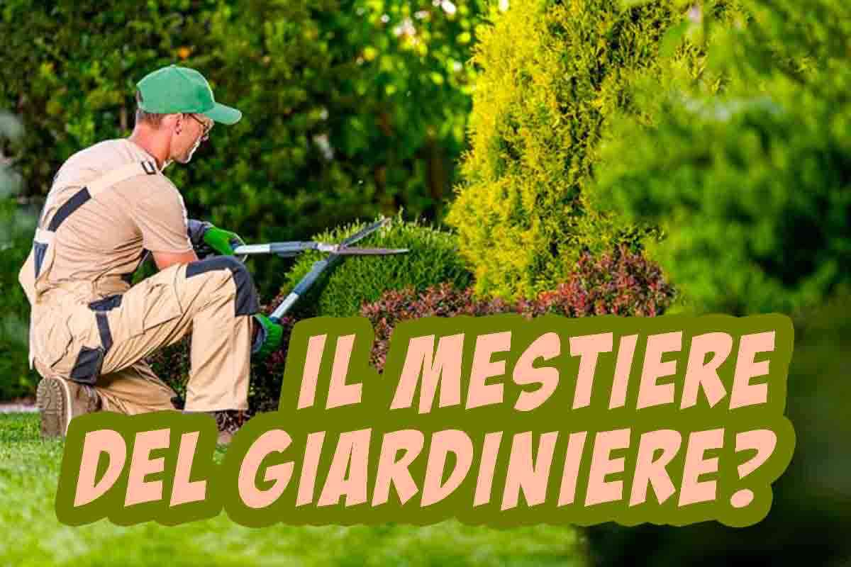 Giardinieri, sempre più richiesti e in certi casi guadagnano davvero tanto.