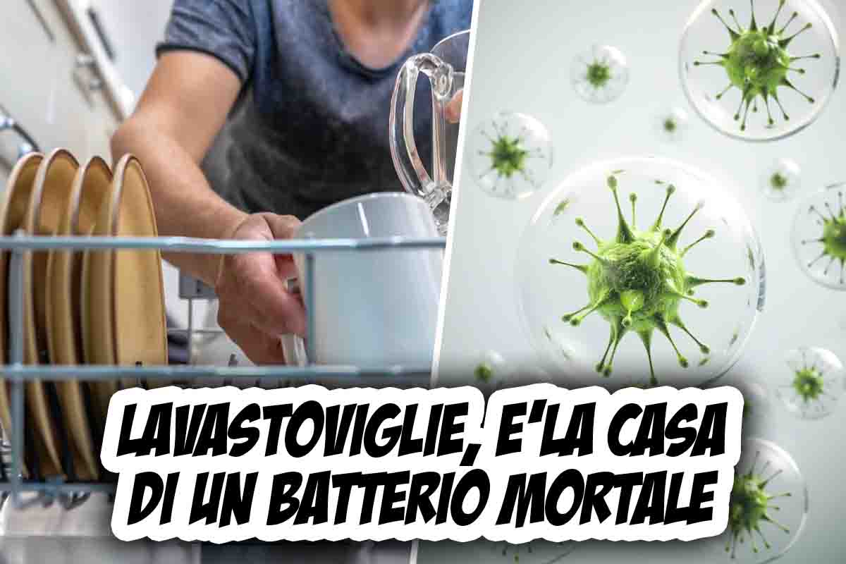 Lavastoviglie vietata: causa batterio mortale, scoperta