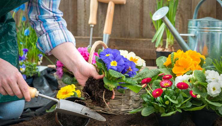 Un valore aggiunto è anche aggiungere delle belle piante per rendere i nostri balconi, terrazze e giardini ancor più performanti. Estremo è, infatti, l’impatto positivo che le piante hanno su di noi e sul nostro ambiente. Sono in grado di ripulire l’energia e armonizzare l’ambiente, con la loro semplice presenza.Per farle vivere a lungo e sane, però, è bene sapere come curarle al meglio. C’è un trucchetto che può davvero essere fondamentale per la loro salute. Piante e fiori: ecco il trucco per curale al meglio