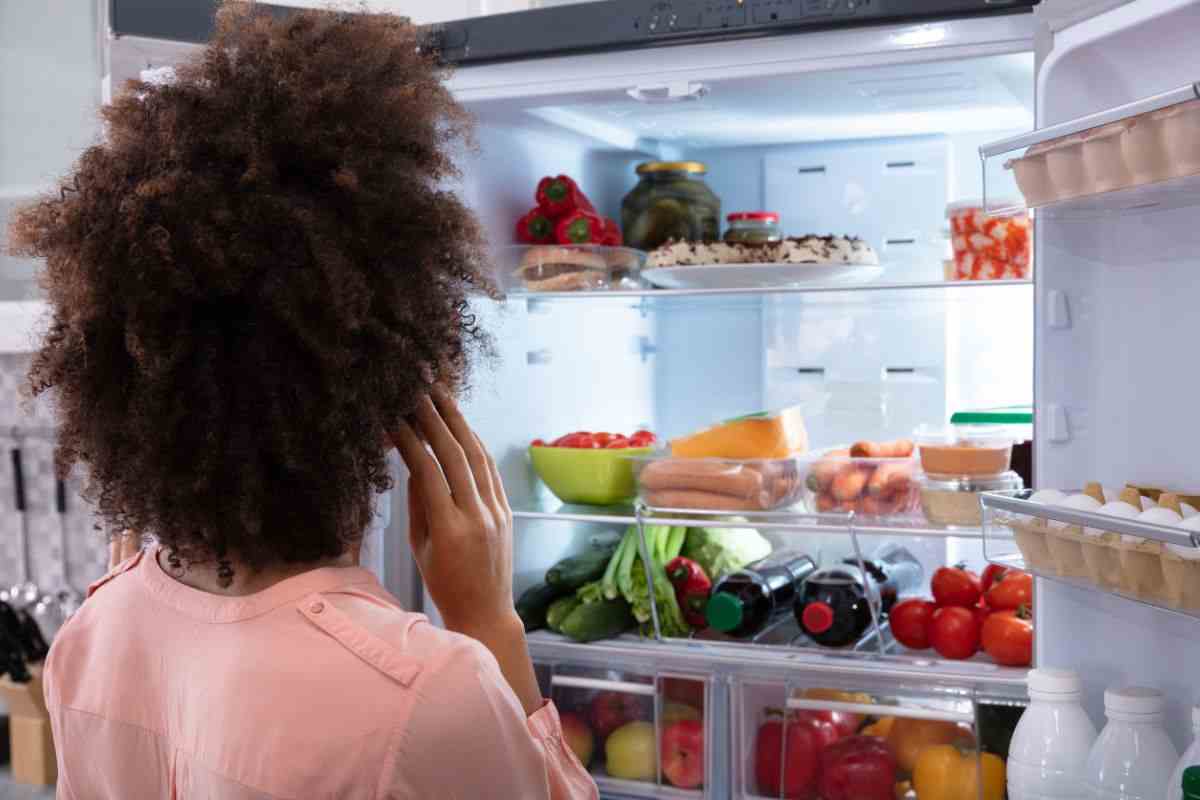 cosa si trova nella guarnizione del frigo