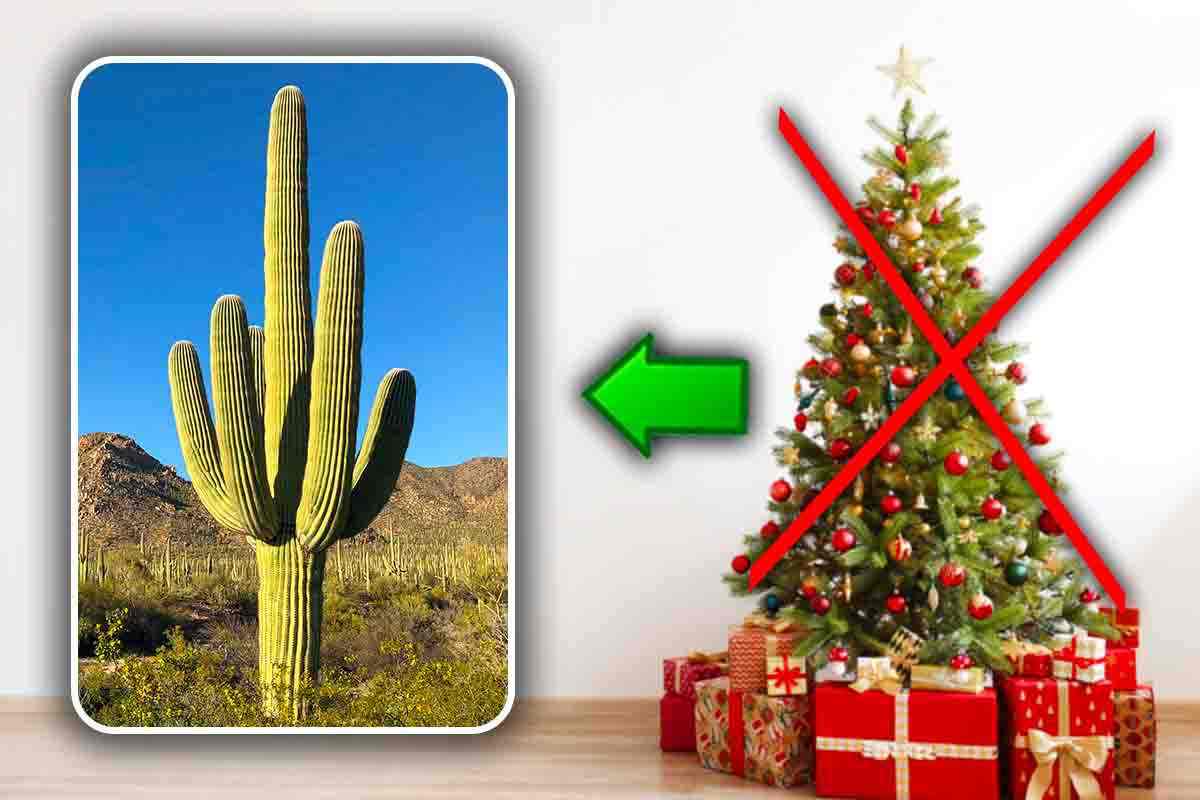 Sostituire il classico albero di natale con un cactus di creatività e design, moderno e chic.
