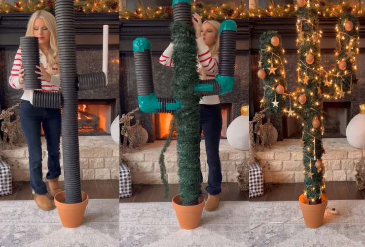 Un'idea bellissima e strepitosa per il tuo Natale, sostituisci il classico albero, con un cactus
