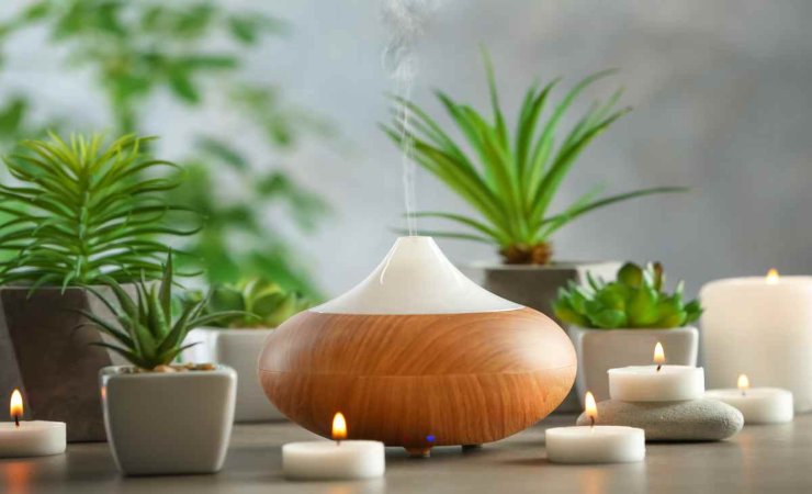 piante e candele per stanza relax