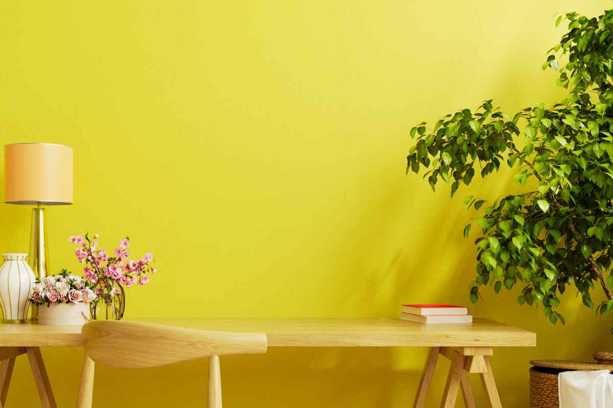 Parete color vaniglia con davanti scrivania e pianta