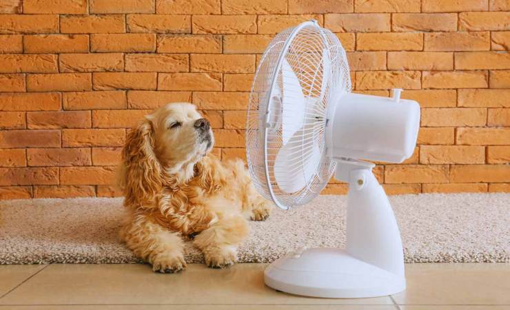 il ventilatore consuma di più o di meno del climatizzatore