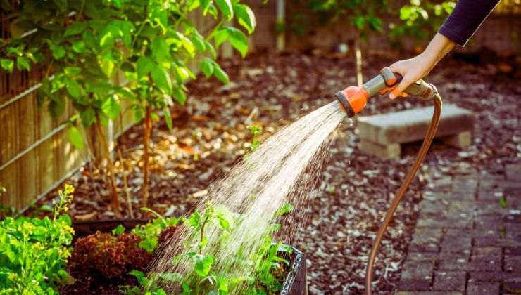 orti e roseti, angolo relax e piante grasse sarà un paradiso