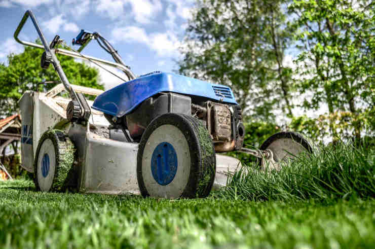 Eliminazione delle erbacce dal giardino