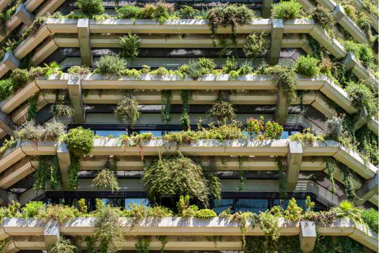 Cappotto verde su un edificio con tanti tipi di piante