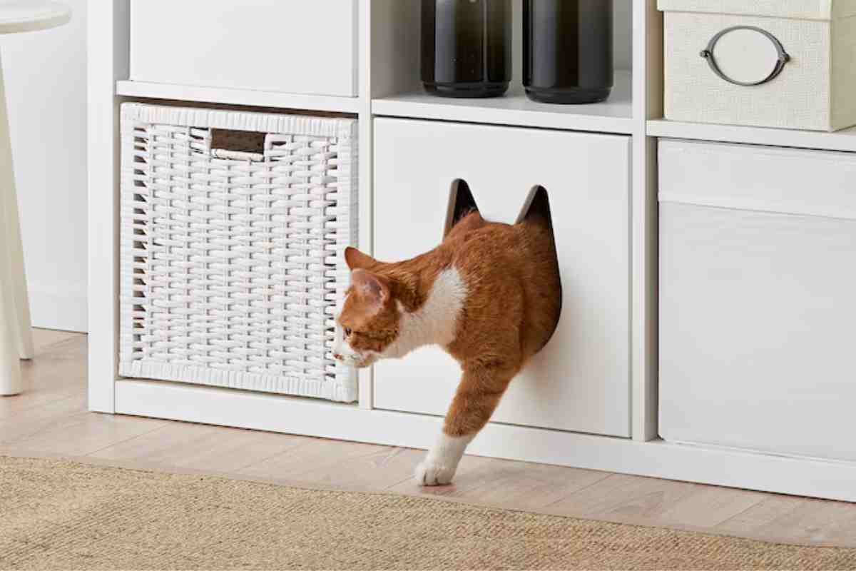 un gatto esce dalla casetta nel mobile che fa parte degli accessori per gatti Ikea