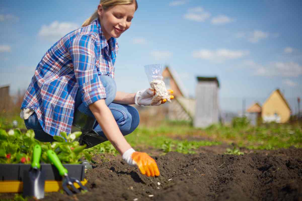 ragazza china sulla terra sta per piantare dei semi nell'orto