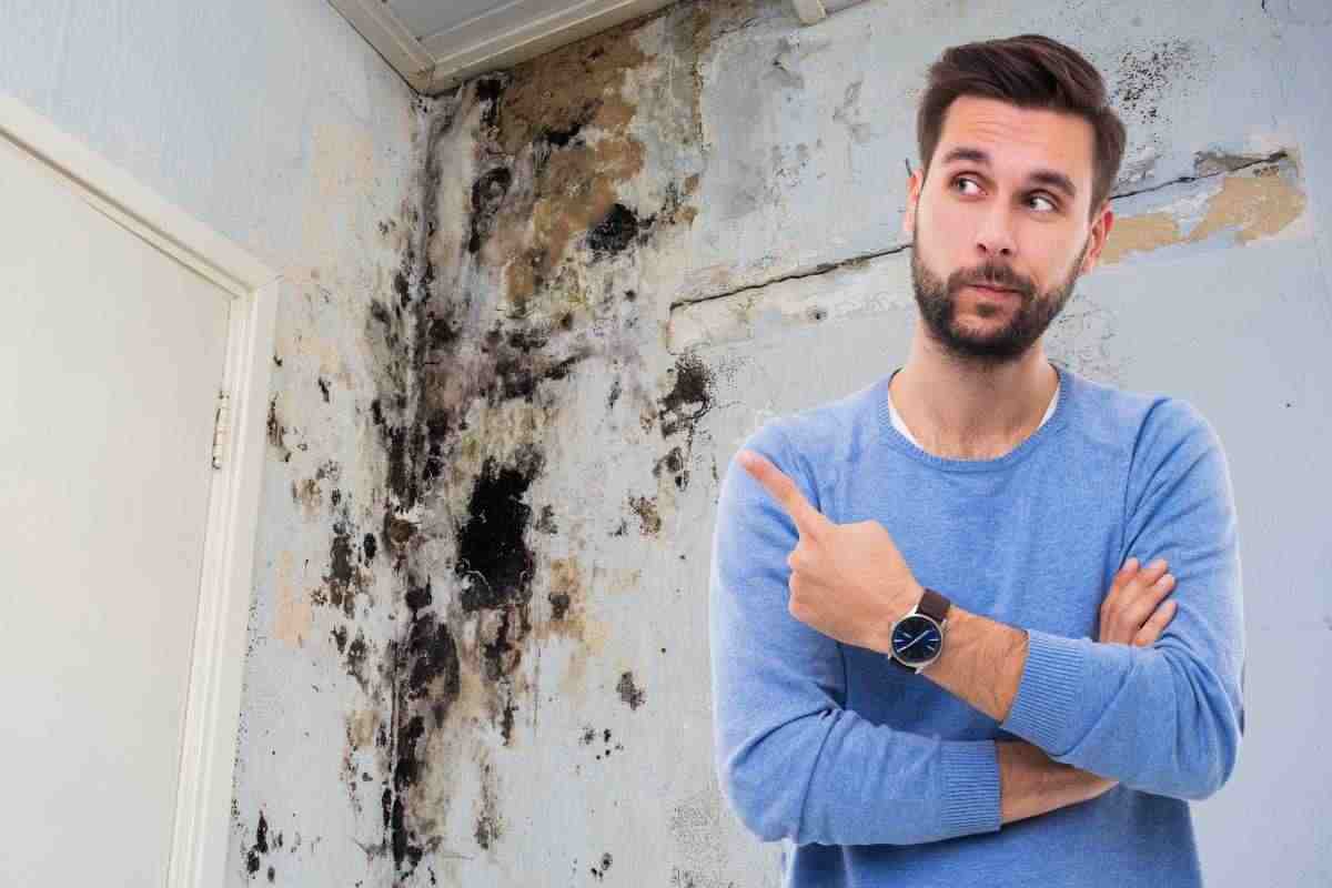 Come eliminare la muffa da casa