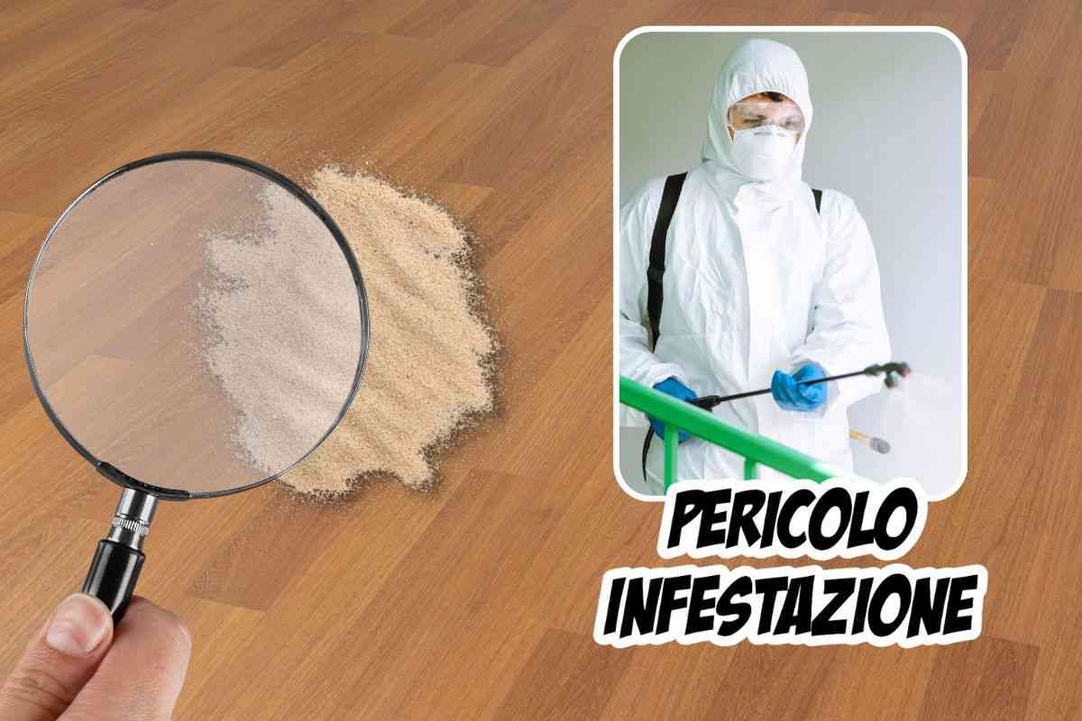 Sabbia fine sul parquet segnale di un'infestazione in atto