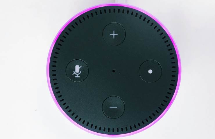 alexa è tra le cose utili da avere sempre in casa