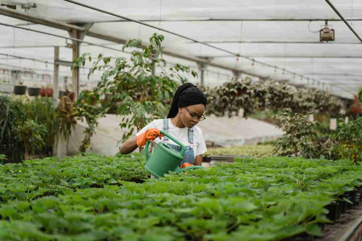 Mutui e finanziamenti agevolati per l'agricoltura