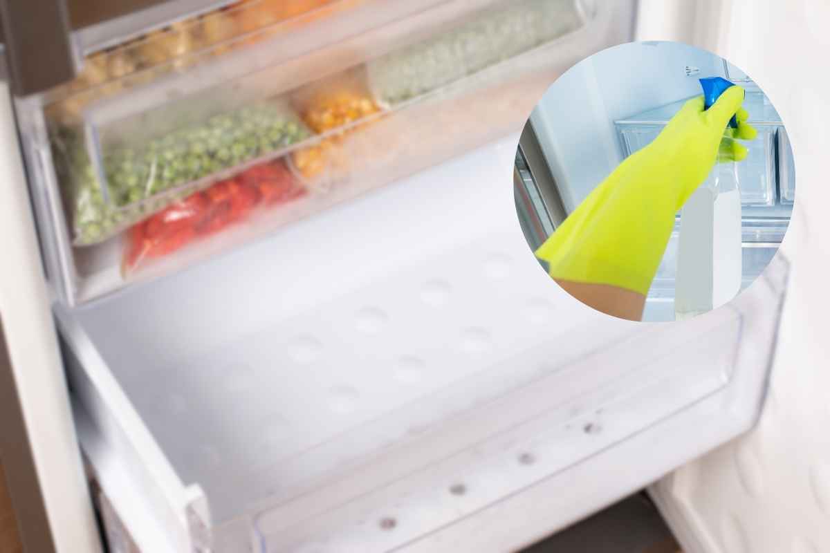 freezer con cibo congelato su sfondo cerchio con guanto giallo