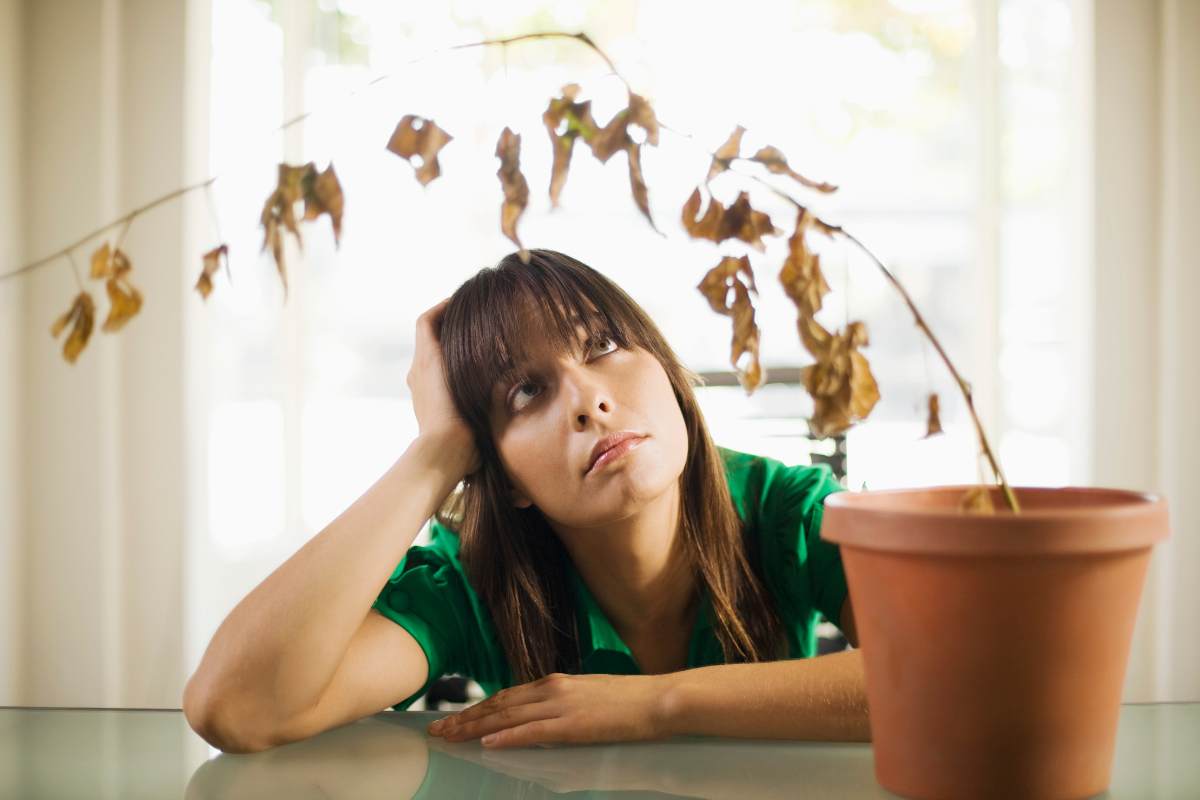 Ragazza che guarda la sua pianta morta