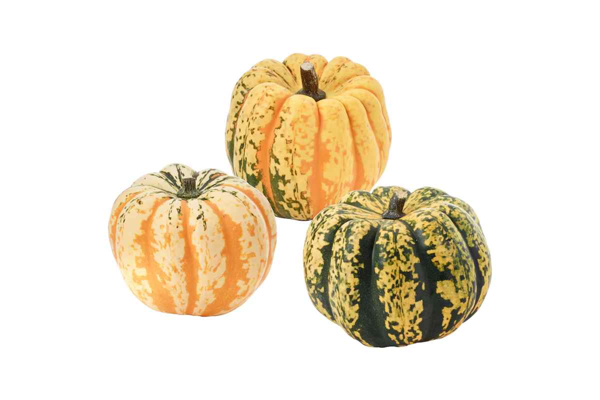 tre zucche CUCURBITA Ikea