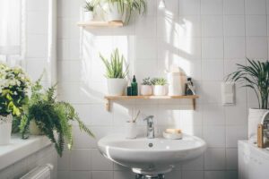 Bagno arredato con piante