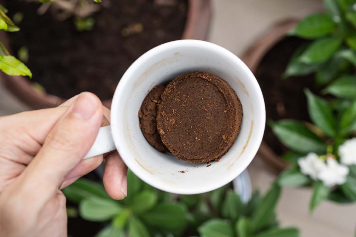 fondi del caffè per risolvere un problema