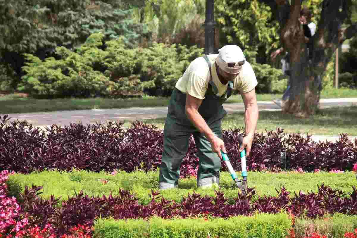 chi deve fare i lavori in giardino se vivi in condominio?