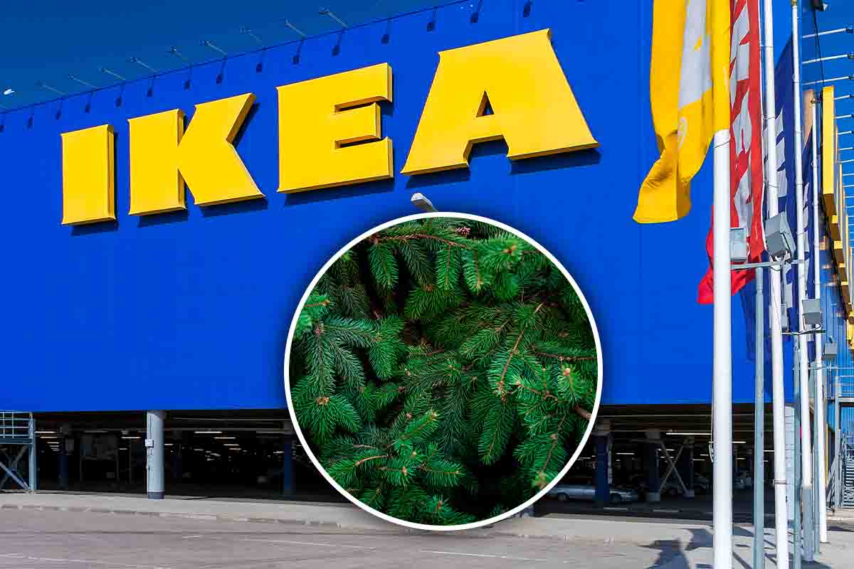 albero Natale insegna Ikea