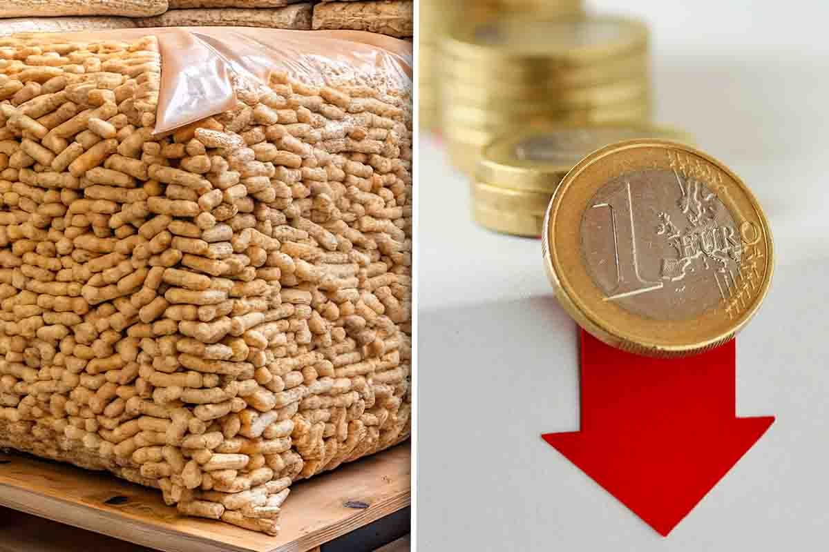 Pellet ed euro