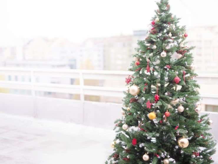 Albero di Natale in terrazzo