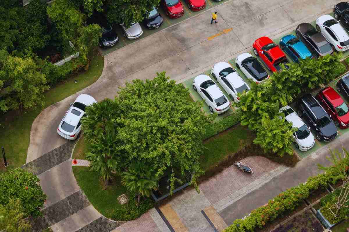 auto parcheggiate e in mezzo le piante