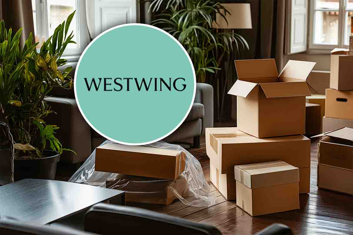 westwing logo e scatole