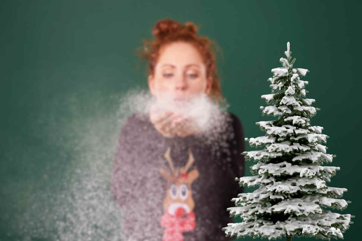 albero innevato persona che soffia neve