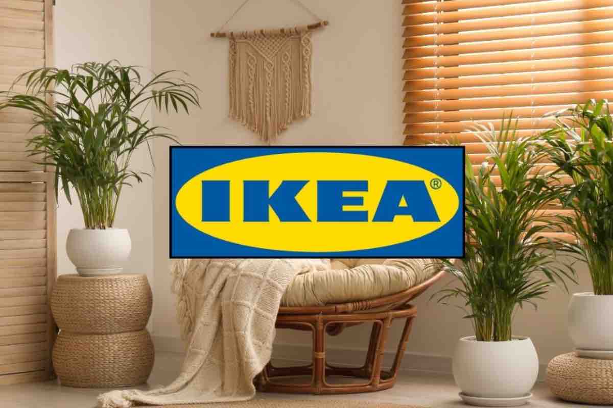 Salotto esotico e logo Ikea