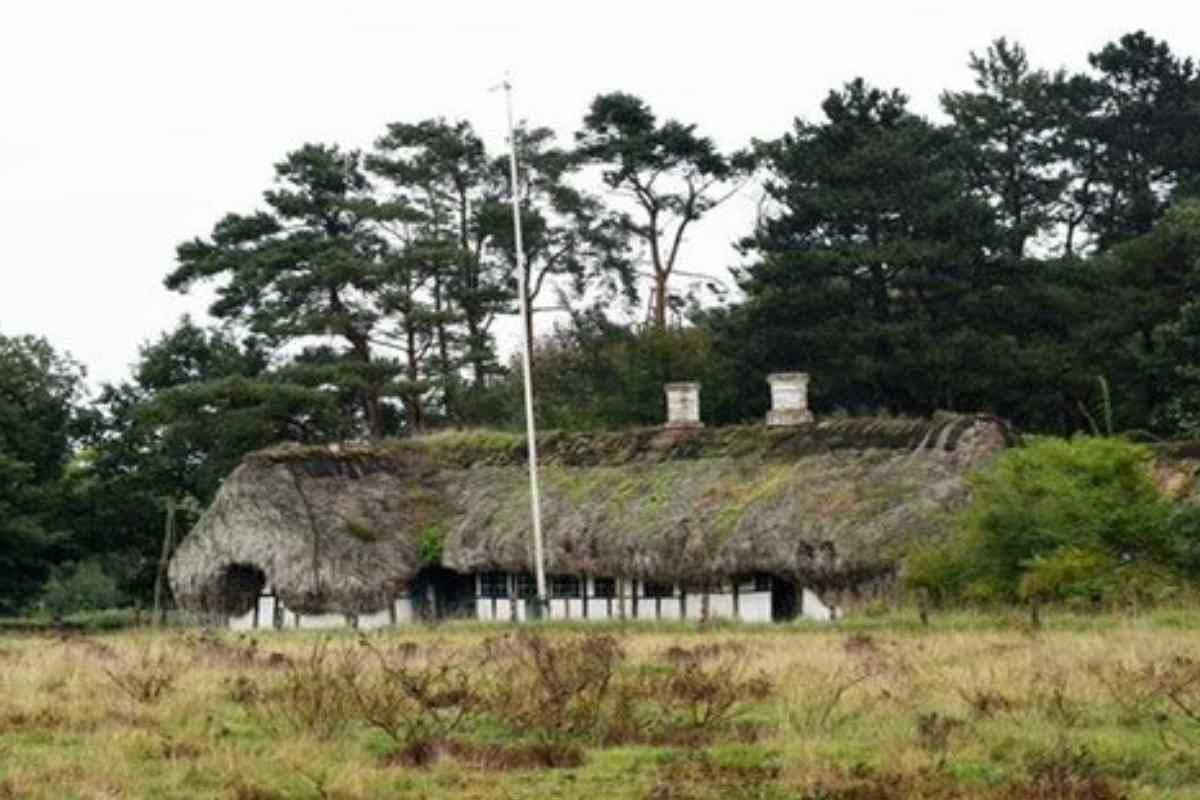 Casa con tetto di alghe