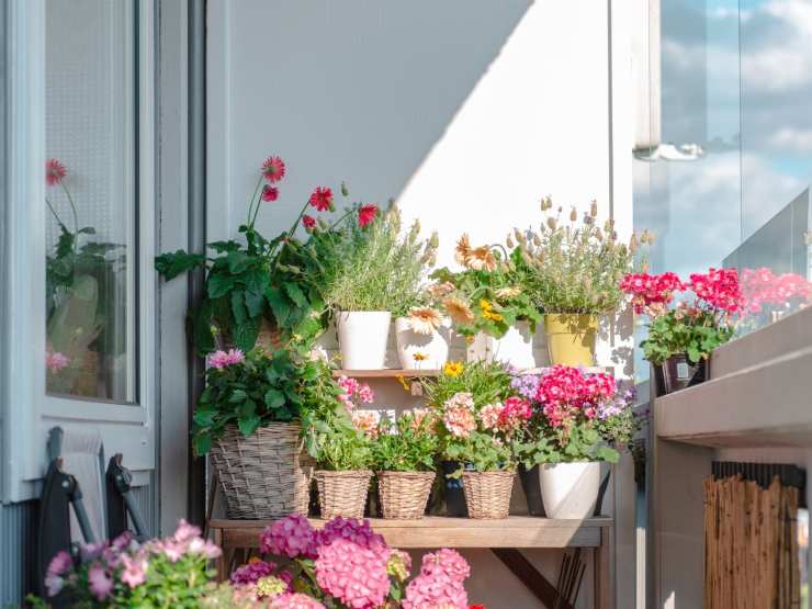 Balcone con piante colorate 